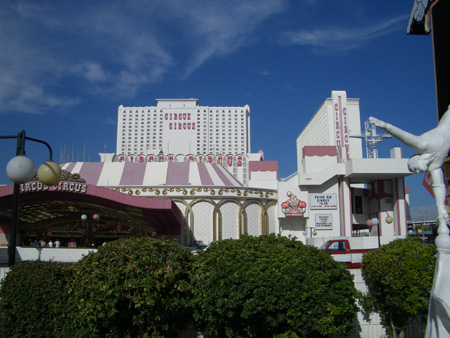 CIMG2003